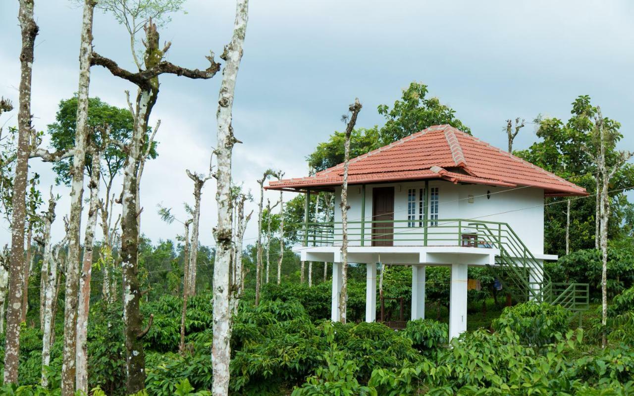 Bed and Breakfast The Suvistara Wayanad Kerala à Meenangadi Extérieur photo